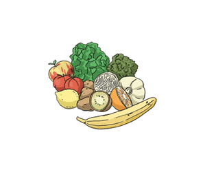 Illustration: Eine Ansammlung verschiedener Obst- und Gemüsesorten, zum Beispiel Banane, Salat, Tomate, Apfel, Zitrone und Kiwi.