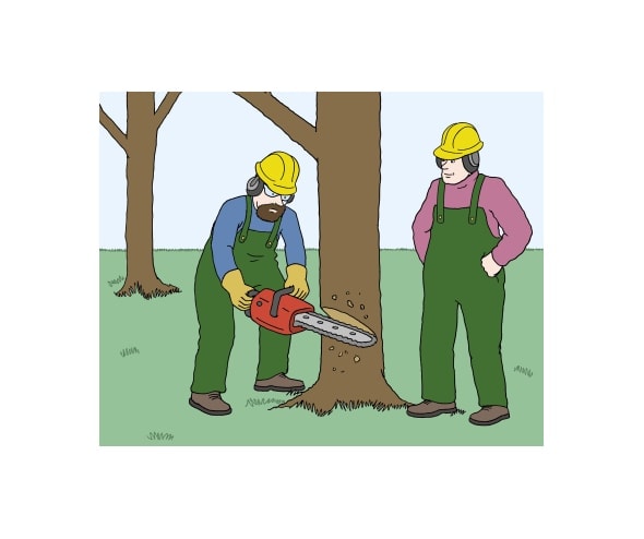 Illustration: Zwei Arbeiter fällen einen Baum. Beide tragen Arbeitskleidung, einen Gehörschutz und einen Schutzhelm.