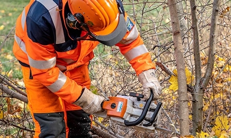 Ein Arbeiter sägt einen Baum.