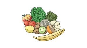Illustration: Eine Ansammlung verschiedener Obst- und Gemüsesorten, zum Beispiel Banane, Salat, Tomate, Apfel, Zitrone und Kiwi.