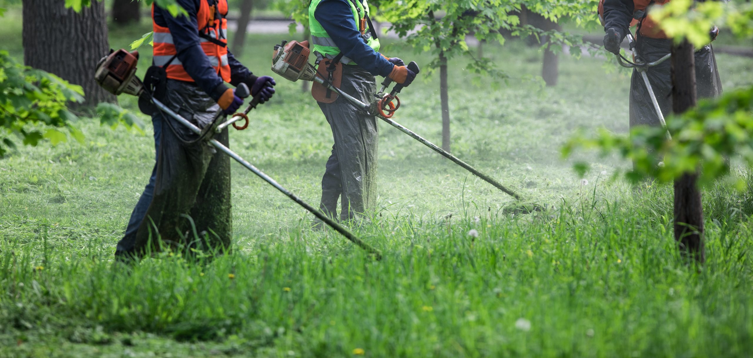 Zeckenstich vorbeugen und richtig behandeln