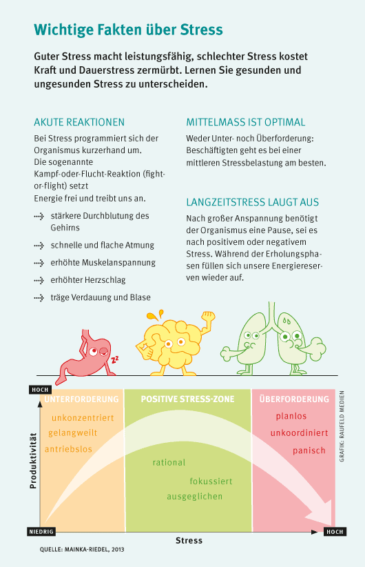 Infografik zum Thema Resilienz