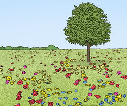 Ein Baum auf einer Blumenwiese im Frühling.