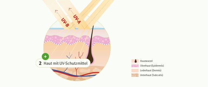 Auf Haut, die mit UV-Schutzmittel behandelt wurde, treffen Sonnenstrahlen. Die UV-B- und UV-A-Strahlen werden reflektiert und dringen nicht in die Haut ein.